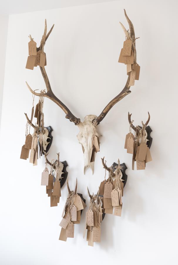 约维克房屋酒店 约克 外观 照片 The 2014 trophy room